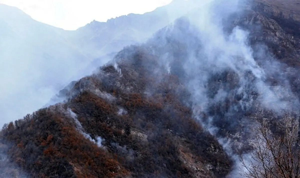 بازداشت ۲۰ نفر به اتهام خرابکاری عمدی و آتش سوزی 