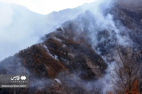 ادامه آتش سوزی گسترده در دل جنگل های هیرکانی