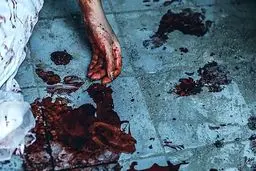 پیدا شدن جسد خونین سفیر آفریقای جنوبی در کف خیابان