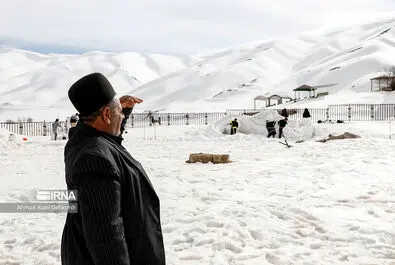 مجسمه یخی