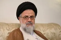آیت‌الله موسوی تبریزی: تندروها مردم را به نظام بی‌اعتماد می‌کنند