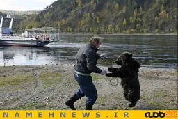 نگهداری از خرس یتیم/ عکس