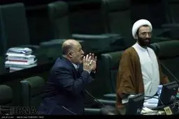 حاشیه‌های صحن علنی مجلس/تصاویر