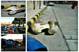 عکسی از انفجار نیسان آبی در پمپ گاز