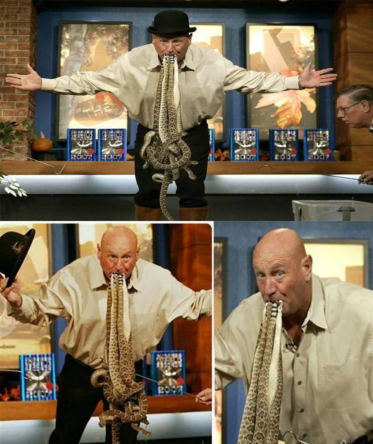 نگهداشتن ۸ مار زنگی از قسمت سر در دهان!/عکس