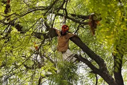 تصاویر خودکشی کشاورز معترض در هند