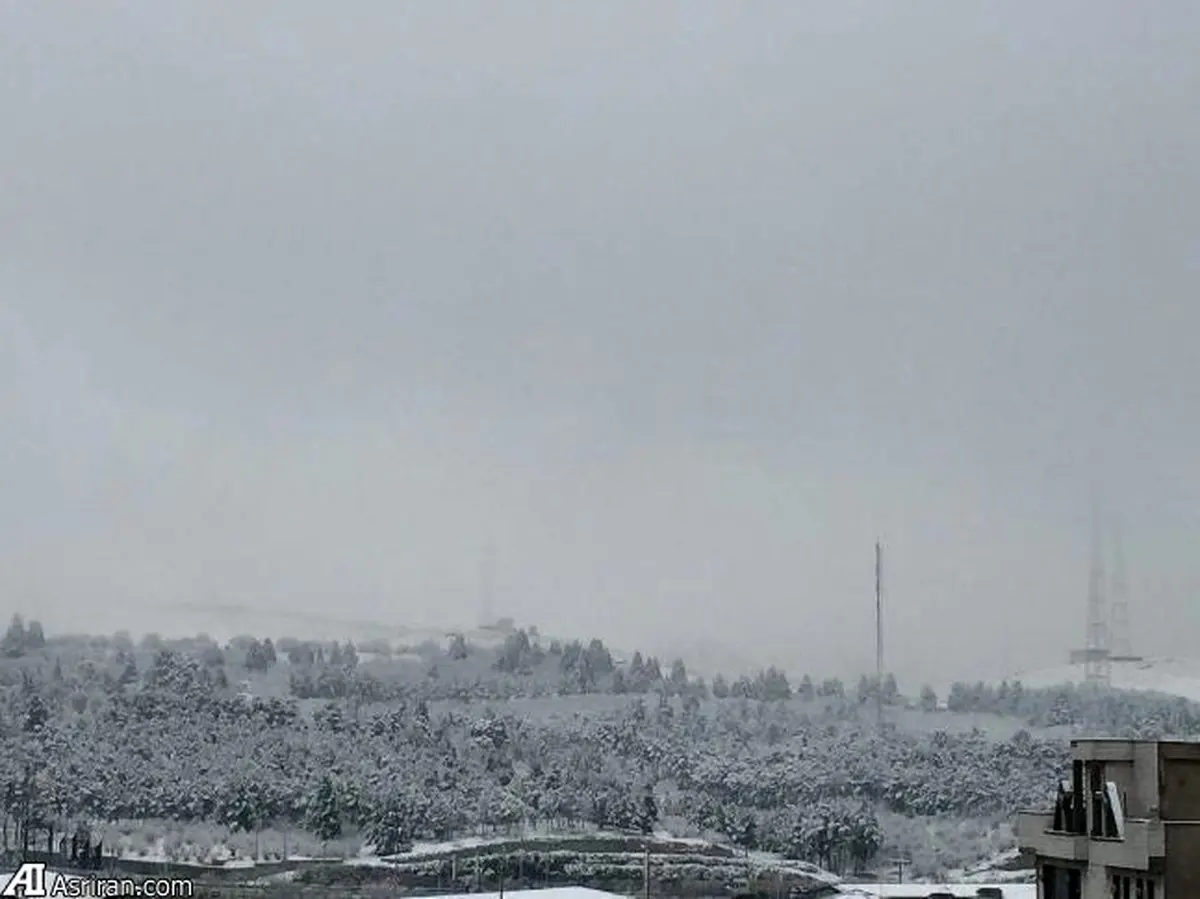 پارک جنگلی سرخه حصار زیر برف/عکس