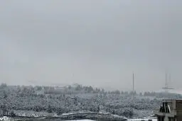 پارک جنگلی سرخه حصار زیر برف/عکس