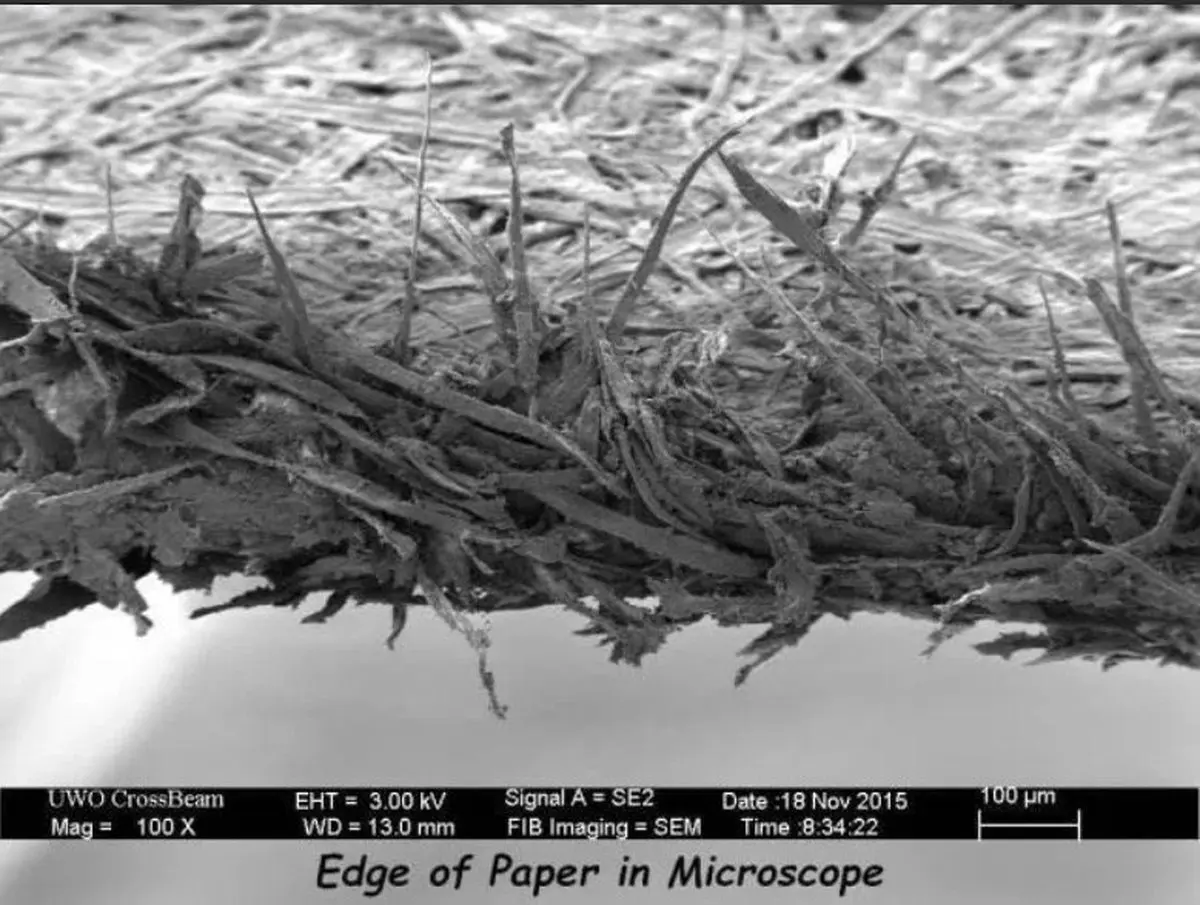 لبه یک برگ کاغذ زیر میکروسکوپ / عکس