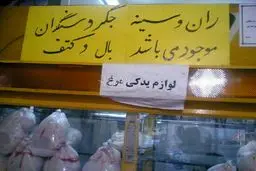 قیمت لوازم یدکی مرغ/ عکس