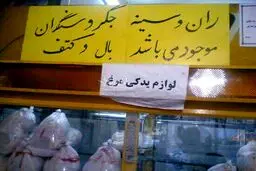 قیمت لوازم یدکی مرغ/ عکس