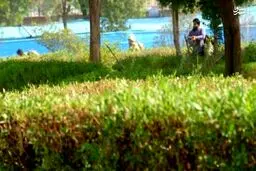 اولین عکس از لحظه تیراندازی یکی از تروریست‌های اهواز