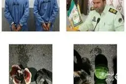 کشف ۱۱۴ کیلوگرم تریاک جاساز شده در بار هندوانه + عکس