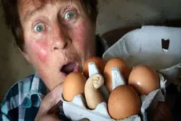 تخم مرغ عجیب و غریب +تصاویر