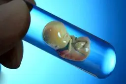 در ivf جنین فریز شده بهتر است یا جنین تازه؟