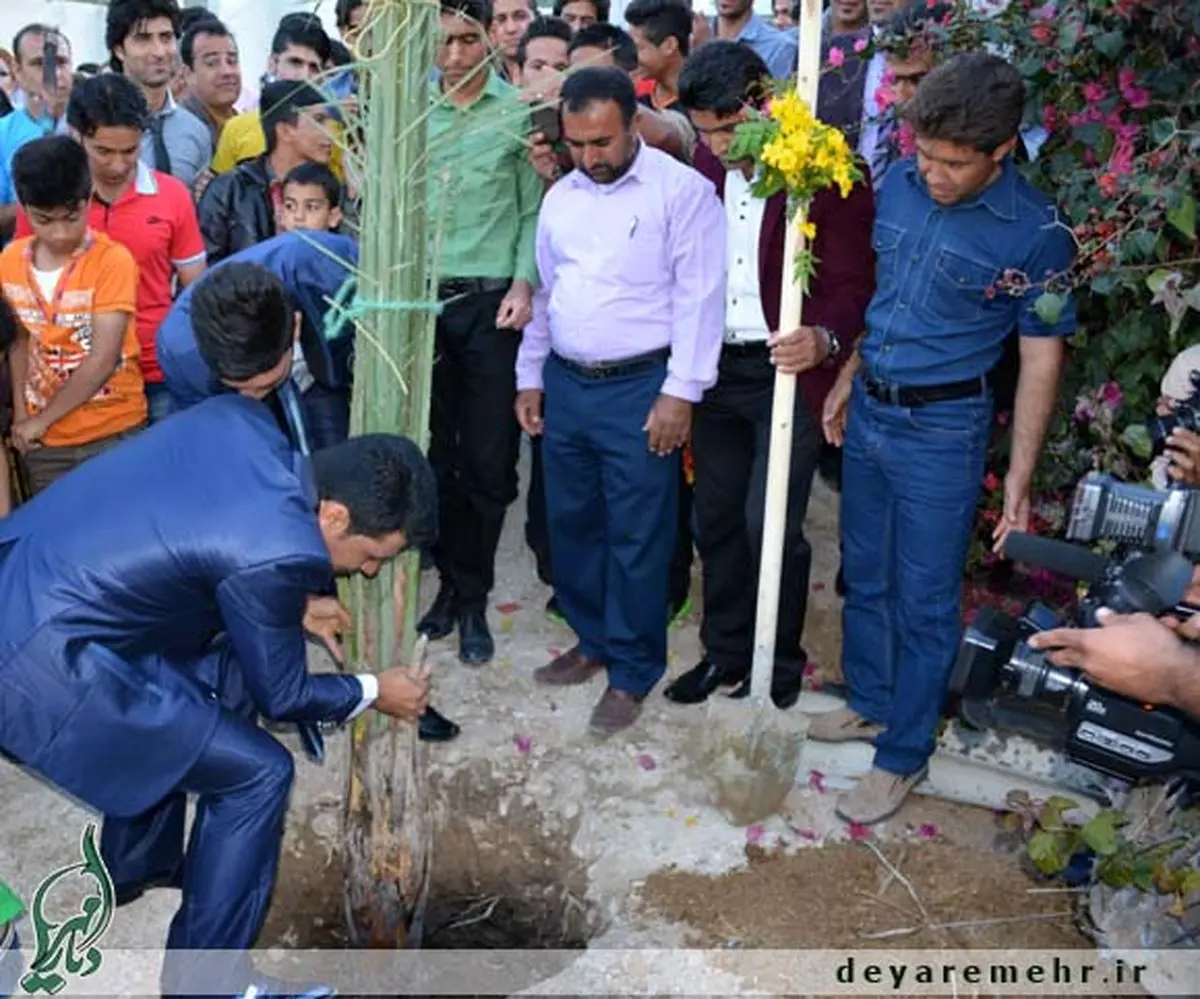 اقدام قابل تحسین 2 زوج در دشتستان +عکس