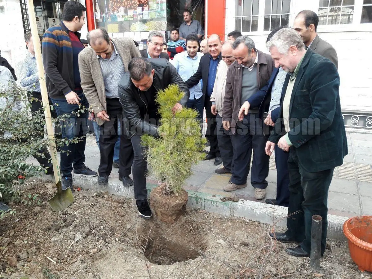 درختکاری علی دایی و برانکو در روز درختکاری/عکس