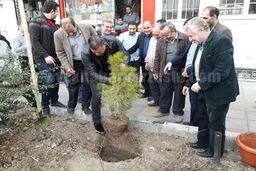 درختکاری علی دایی و برانکو در روز درختکاری/عکس