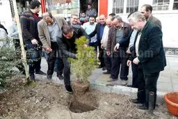 درختکاری علی دایی و برانکو در روز درختکاری/عکس