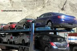 عکس/ یک تریلی خودروی خاص