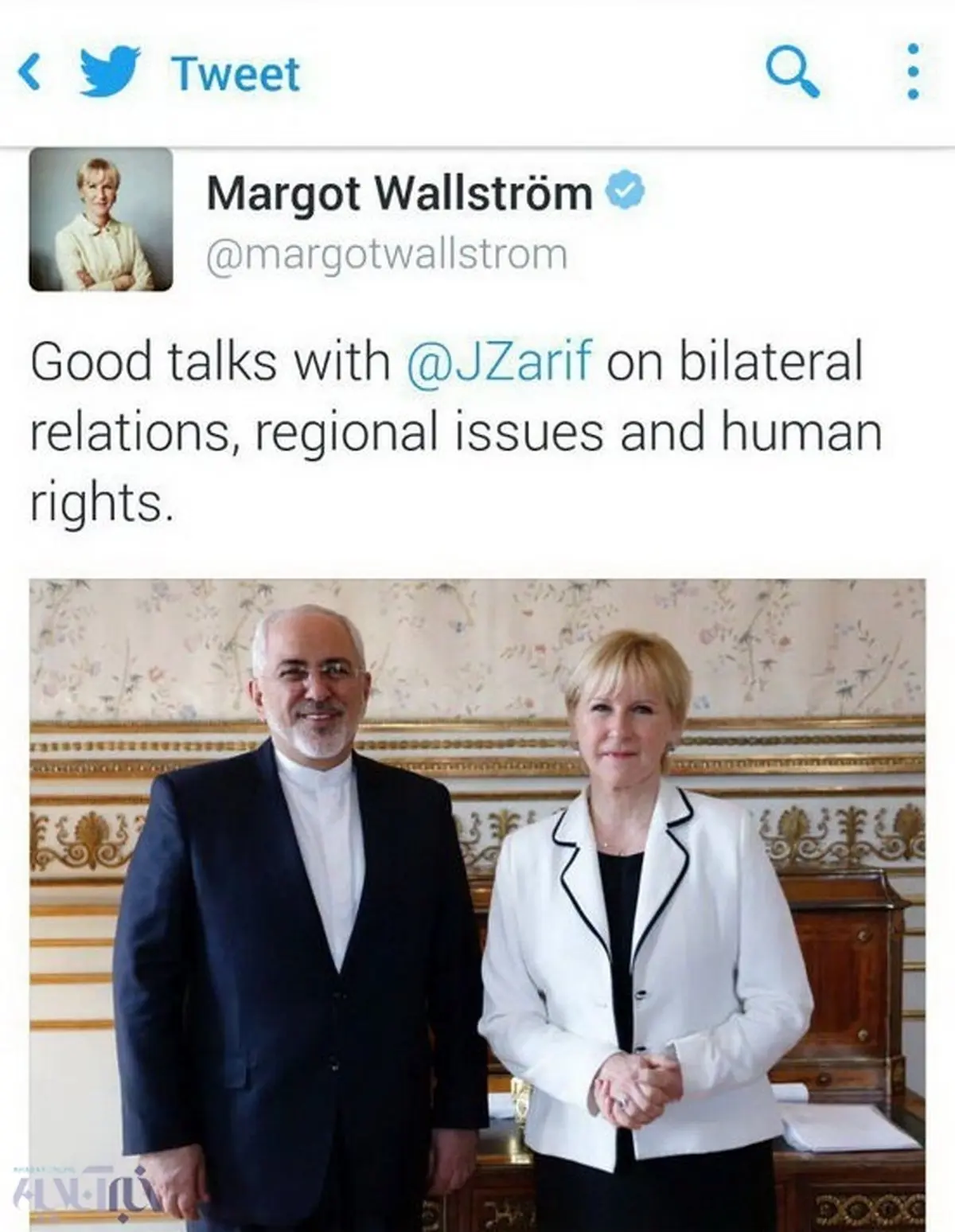 دیدار خانم وزیر با ظریف در سوئد/ عکس