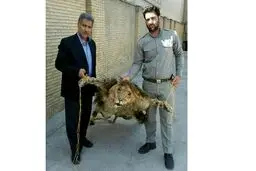 پرونده شیر سلاخی شده در حال پیگیری است