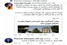طعنه سنگین مشاور وزیر بهداشت به وزارت گردشگری درباره سفرهای نوروزی