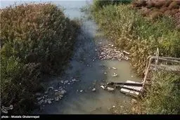 کارون در محاصره فاضلاب - اهواز/تصاویر