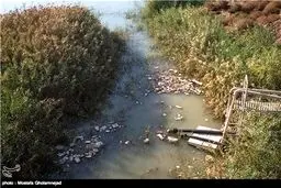 کارون در محاصره فاضلاب - اهواز/تصاویر