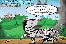 کشته شدن ۵ راس گورخر / کاریکاتور