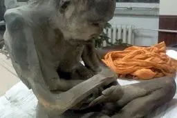 کشف مردی که 200 سال چهارزانو نشسته است! +عکس