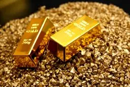 افزایش شدید قیمت طلا تنها در یک هفته