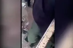 ببينيد: زانو زدن سرهنگ ارتش برای کمک به سیل‌زدگان