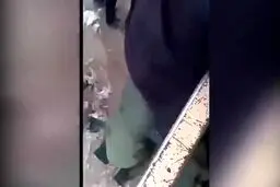 ببينيد: زانو زدن سرهنگ ارتش برای کمک به سیل‌زدگان