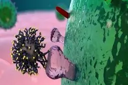 پس از ورود به خانه باید لباس‌ها را ضدعفونی کنیم؟