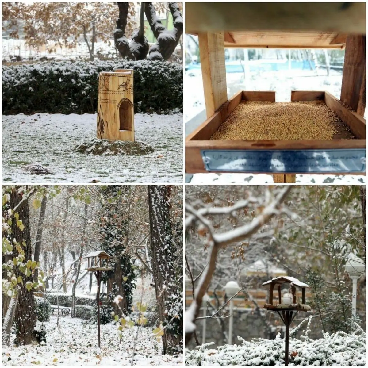 کار زیبای شهرداری مشهد در پارک ها+تصاویر زیبا