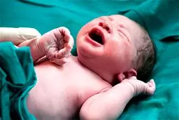 دارویی که ممکن است مشکلات قلبی نوزاد را افزایش دهد