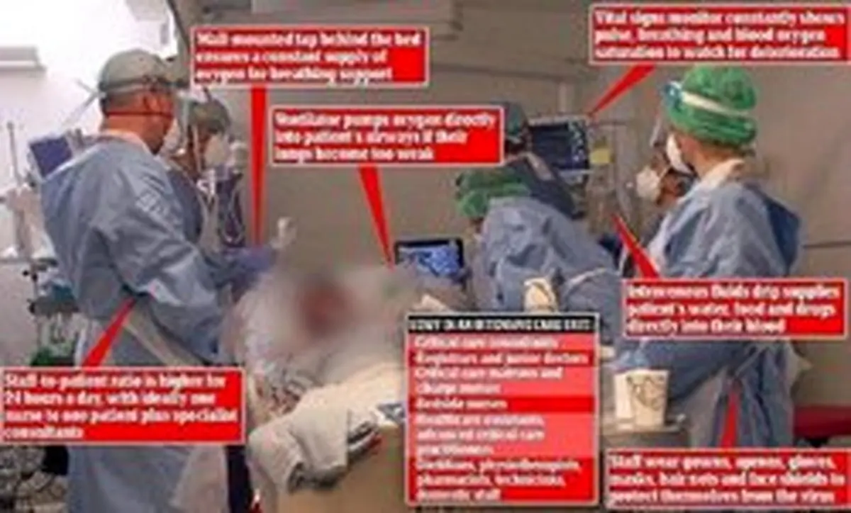 خلاء نخست‌وزيري در انگلستان / آلترناتیو جانسون کیست؟