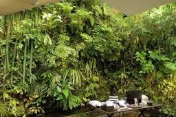 این خانه رویایی را در پاریس ببینید+ عکس