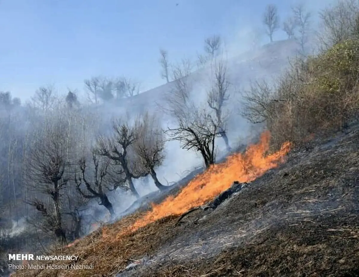 آتش سوزی اراضی ملی شهرستان مرزی آستارا/ تصاویر