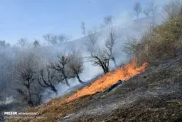 آتش سوزی اراضی ملی شهرستان مرزی آستارا/ تصاویر