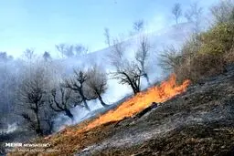 آتش سوزی اراضی ملی شهرستان مرزی آستارا/ تصاویر