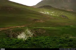 تصاویری شگفت‌انگیز از سوباتان؛ منطقه‌ای ییلاقی در شمال ایران