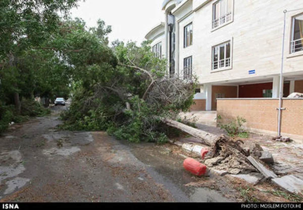 آثار وقوع طوفان سحرگاه امروز در کیش/تصاویر