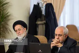 ژست ظریف در جلسه هیات دولت/عکس