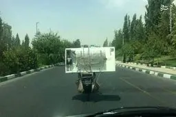 حمل یخچال با موتور!/عکس