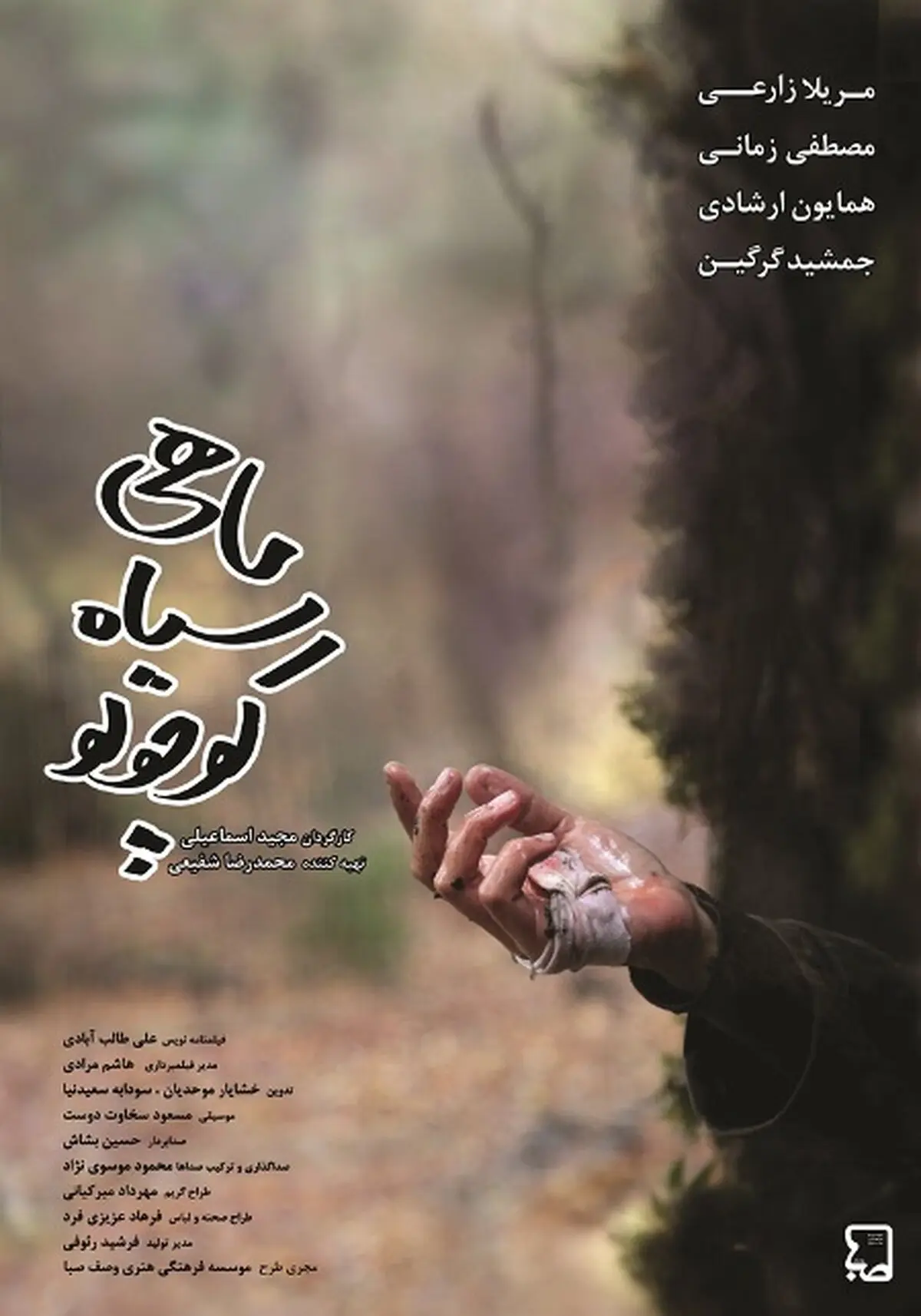 تنها فیلمی که بازیگر خبرساز سینما با آن به جشنواره می‌آید / انتشار پوستر «ماهی سیاه کوچولو»