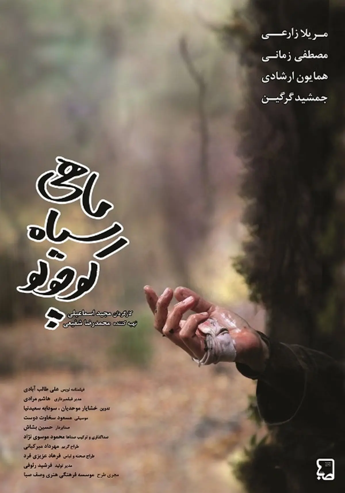 تنها فیلمی که بازیگر خبرساز سینما با آن به جشنواره می‌آید / انتشار پوستر «ماهی سیاه کوچولو»