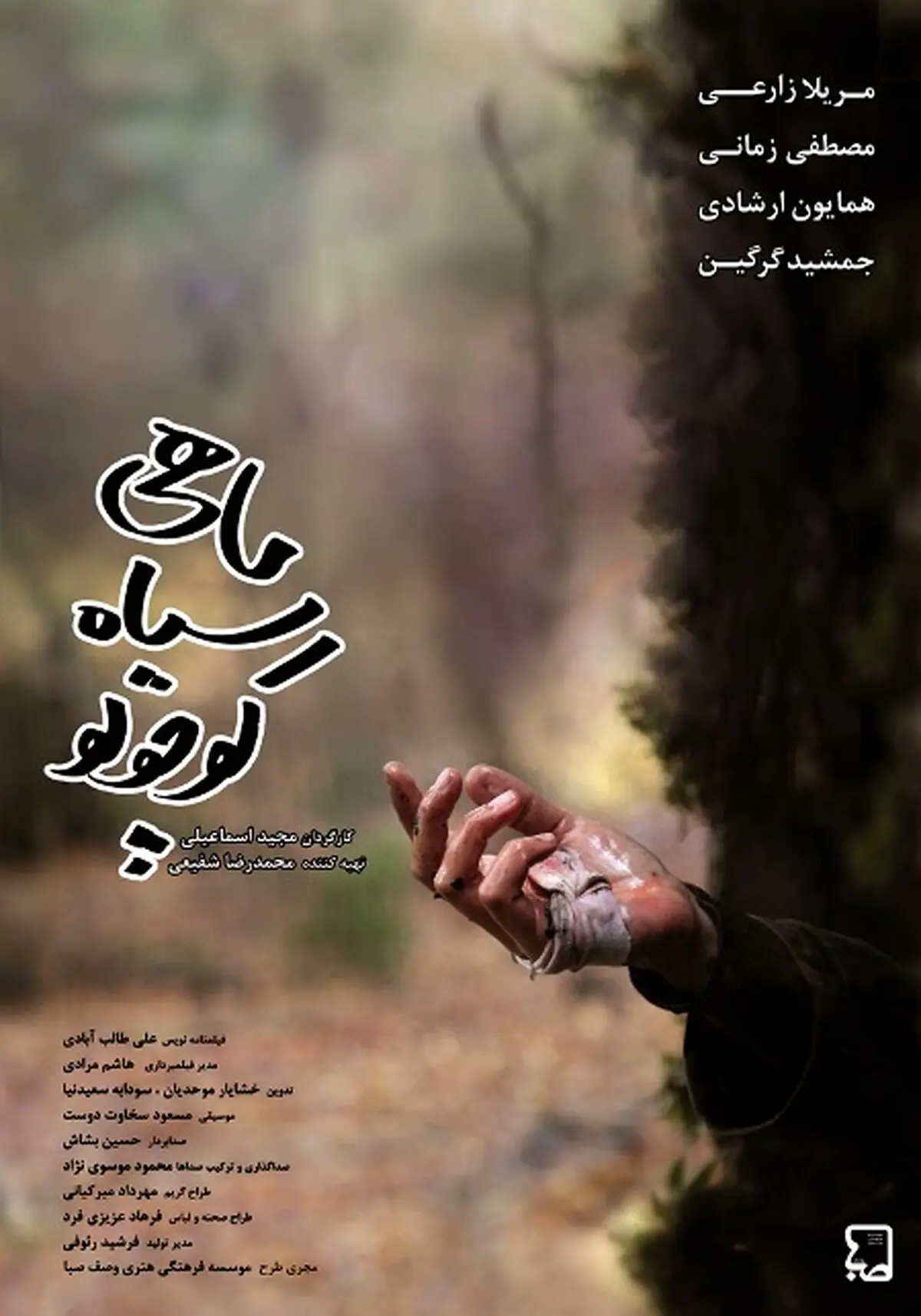تنها فیلمی که بازیگر خبرساز سینما با آن به جشنواره می‌آید / انتشار پوستر «ماهی سیاه کوچولو»
