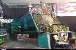 حکم ناصرالدین‌شاه برای این «نخل» قدیمی